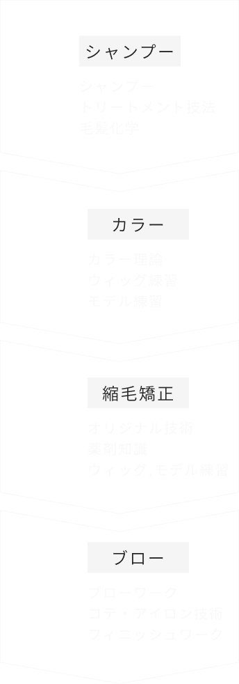 1年目カリキュラム